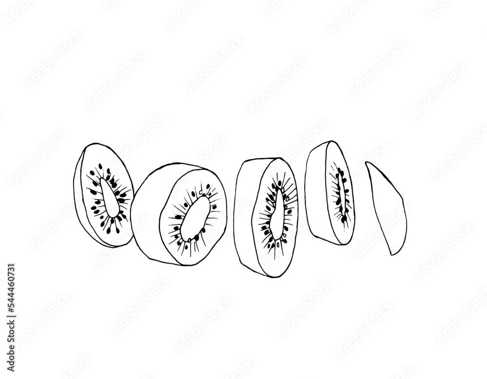Exotic kiwi fruit, sliced, drawn in the style of doodles. Vector illustration isolated on a white background. Exotic kiwi fruit, sliced, drawn in the style of doodles. Vector illustration isolated on a white background.