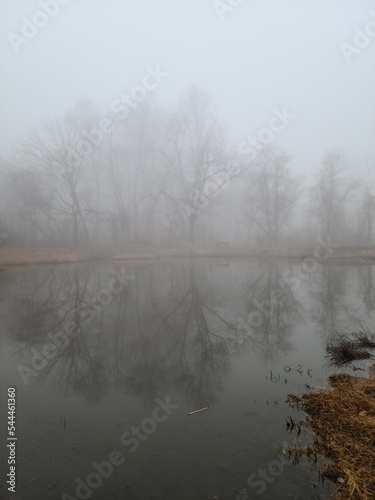 misty morning on the river