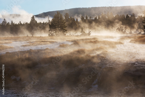 Yellowstone © Galyna Andrushko