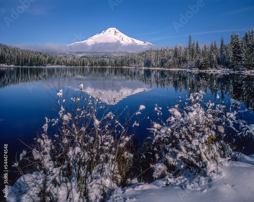 Mt Hood reflected in Trullium Lake after an early snowstorm, Mt Hood National Forest, Oregon photo