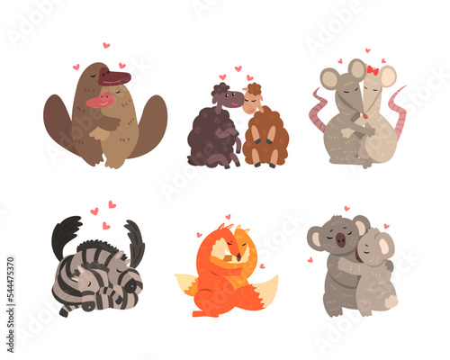 Photography Couple of Animals in Love Embracing Each Other Vector Set