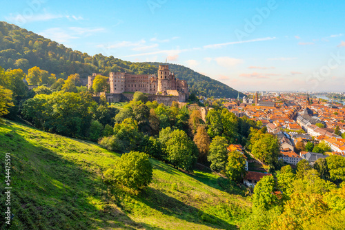 Hillside view from the grounds of the Heidelberg Castle Complex of the medieval Palace ruins  old town  bridge and Neckar River in the Bavarian city of Heidelberg  Germany. 