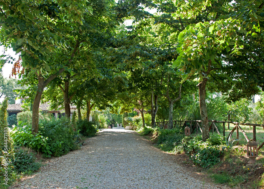 Giardino