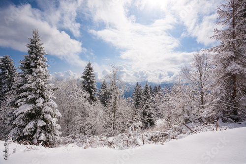 Winter landscape with snow from Asiago upland © elleonzebon