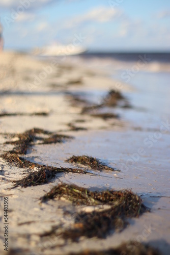 La playa