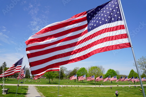 Fotografie American flags were placed up in the Milwaukee, Wisconsin community to honor veterans memorial day