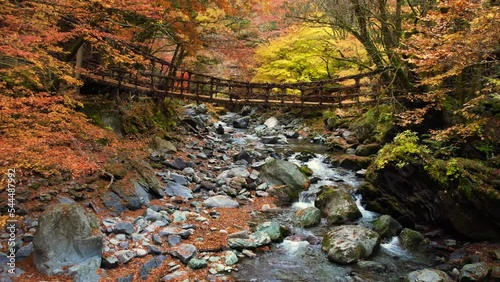 紅葉の奥祖谷二重かずら橋