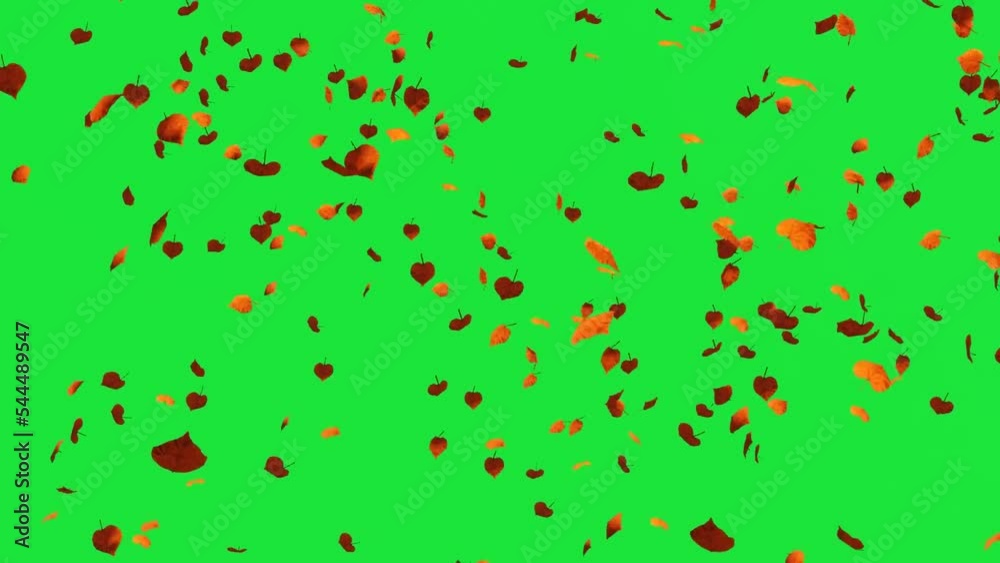 Autumn Leaves Falling On Green Screen