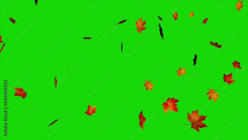 Autumn Leaves Falling On Green Screen Autumn Leaves Falling On Green Screen