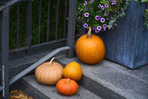 Pumpkins on New York City Stoop