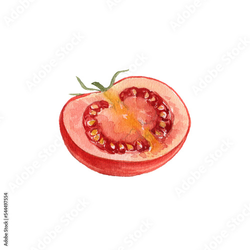 watercolor drawing half of red tomato isolated at white background, hand drawn illustration