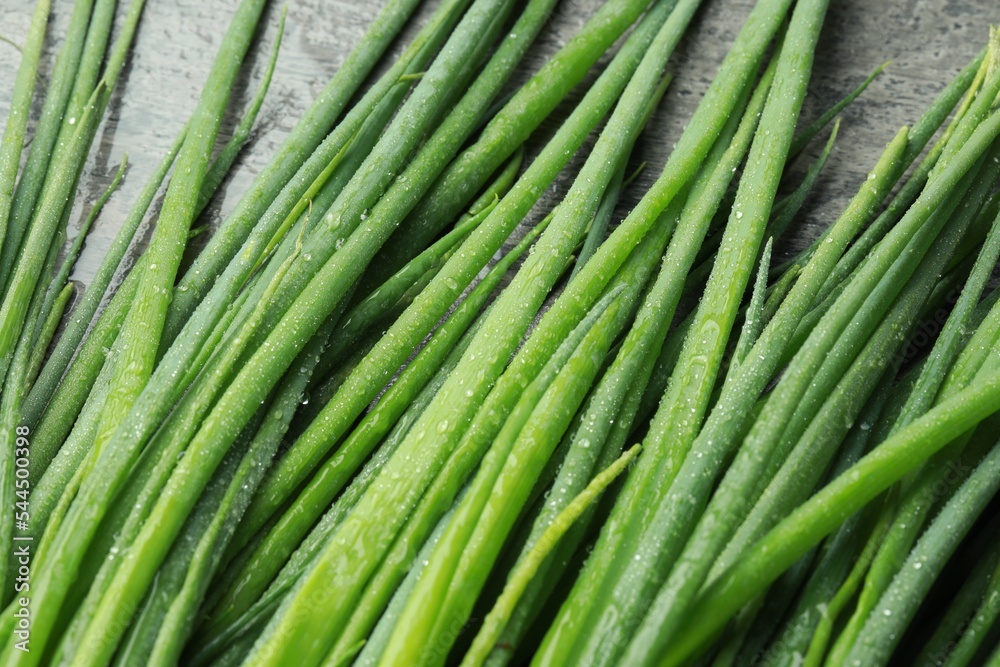 Fresh green spring onions with water drops on grey table, closeup Fresh green spring onions with water drops on grey table, closeup