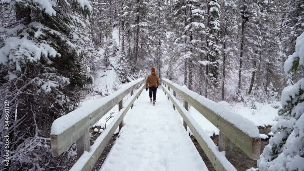 A man walking towards on a beautiful bridge on a winter wonderland A man walking towards on a beautiful bridge on a winter wonderland