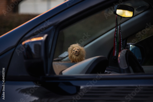 Miniature toy lion on car dashboard  © patoouupato