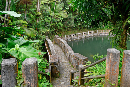 Stone bridge walkway in El Yunque Rainforest on the island of Puerto Rico, the only tropical rain forest in the United States National Forest System photo