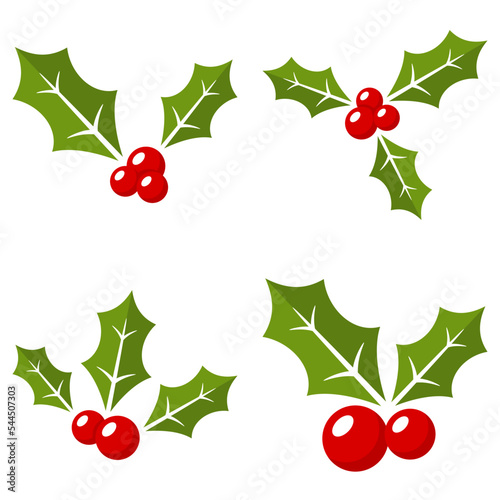Holly Berry isolated on white background