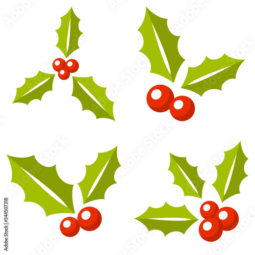 Holly Berry isolated on white background