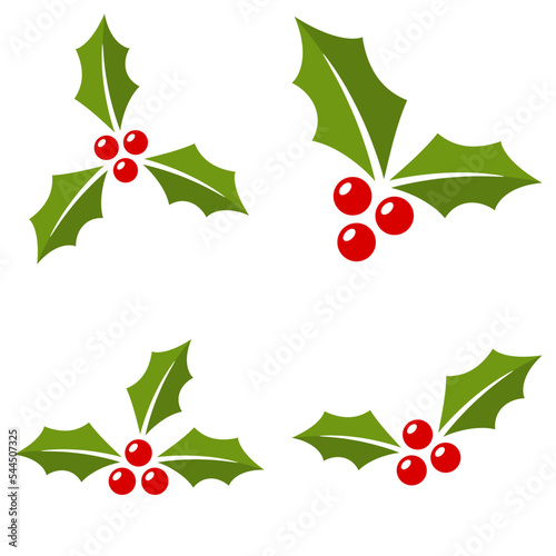 Holly Berry isolated on white background