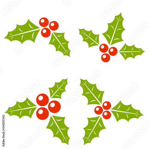 Holly Berry isolated on white background