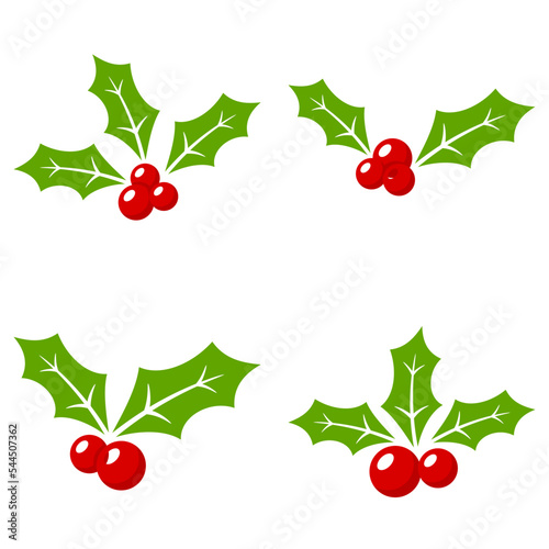 Holly Berry isolated on white background