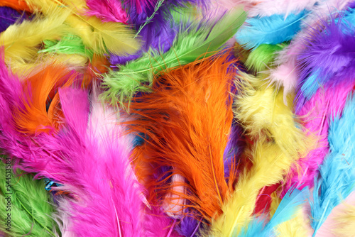 Many beautiful bright feathers as background  top view