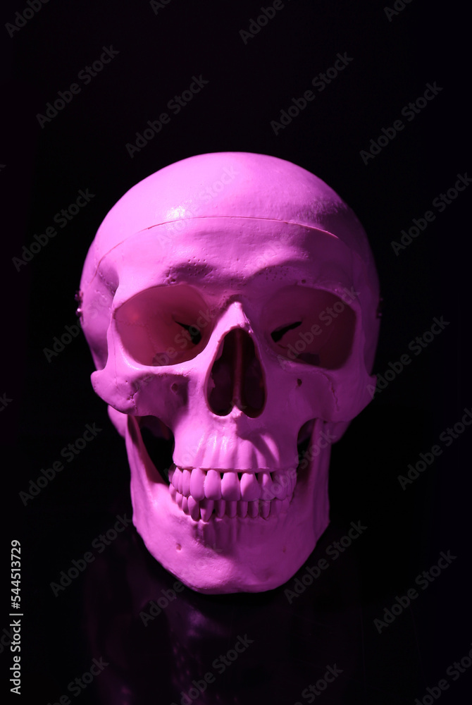White human skull with teeth on black background White human skull with teeth on black background