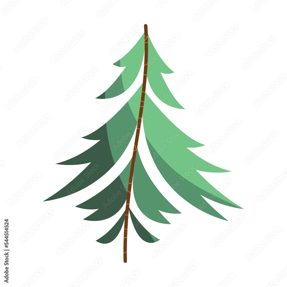 Obraz premium pine branch with leafs