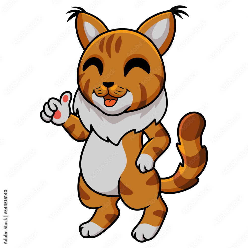 Cute maine coon cat cartoon giving thumbs up