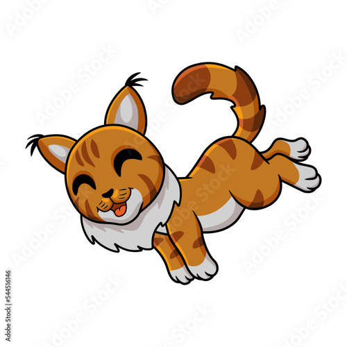 Cute maine coon cat cartoon