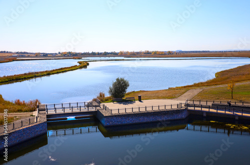 Pedestrian bridge perspective in the Canadian wetlands in autumn