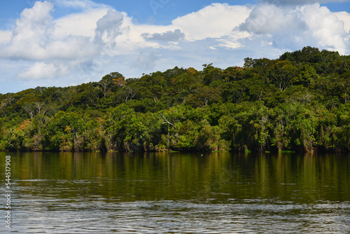 The dense rainforest-lined riverbank of the Guaporé-Itenez river, near Cabixi, Rondonia state, Brazil, on the border with the Santa Cruz Department, Bolivia