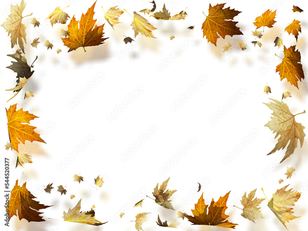 autumn leaves falling rectangle square frame isolated for background ...