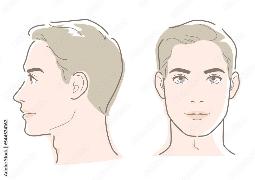 Young man's profile and front face. Vector illustration in line drawing isolated on white background. Young man's profile and front face. Vector illustration in line drawing isolated on white background.