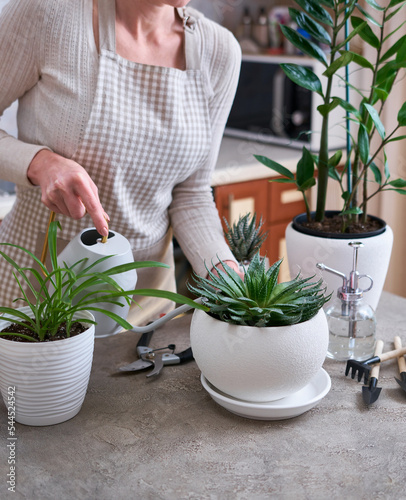 Woman watering Potted House plants with watering can