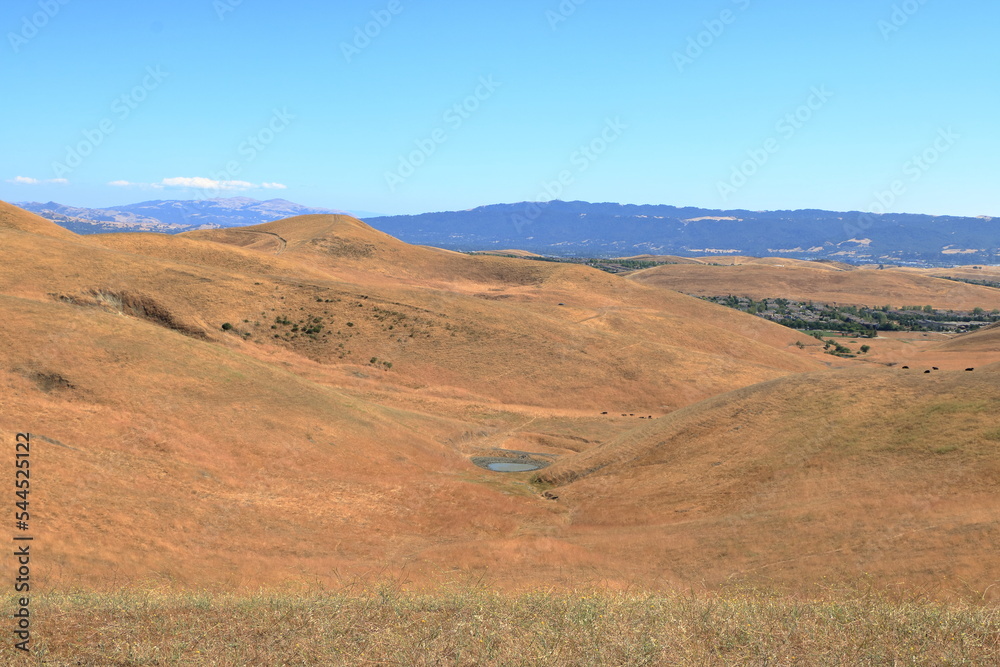 A pond of rain water is all that remains of the rains in the winter and spring