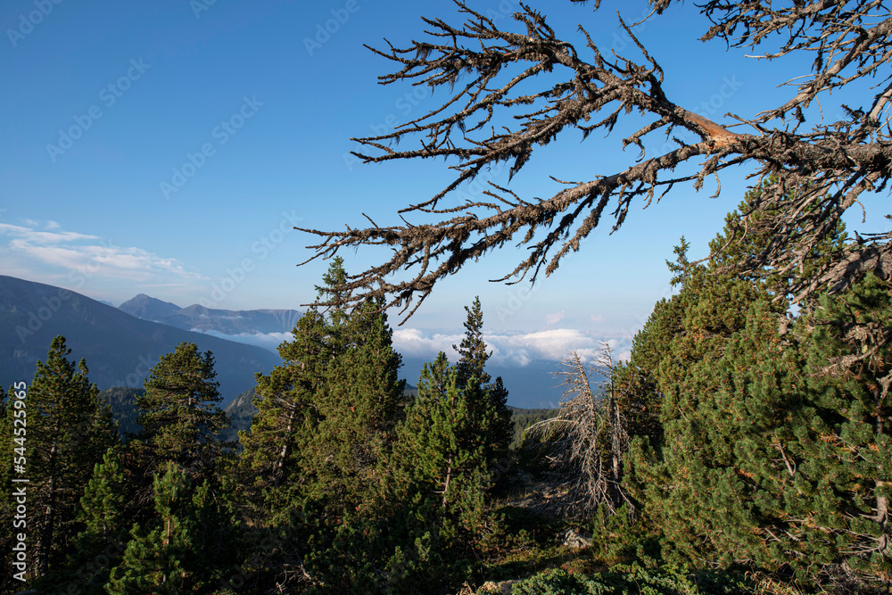 Summer mountain scenery in Chamrousse in the Alps, France Summer mountain scenery in Chamrousse in the Alps, France