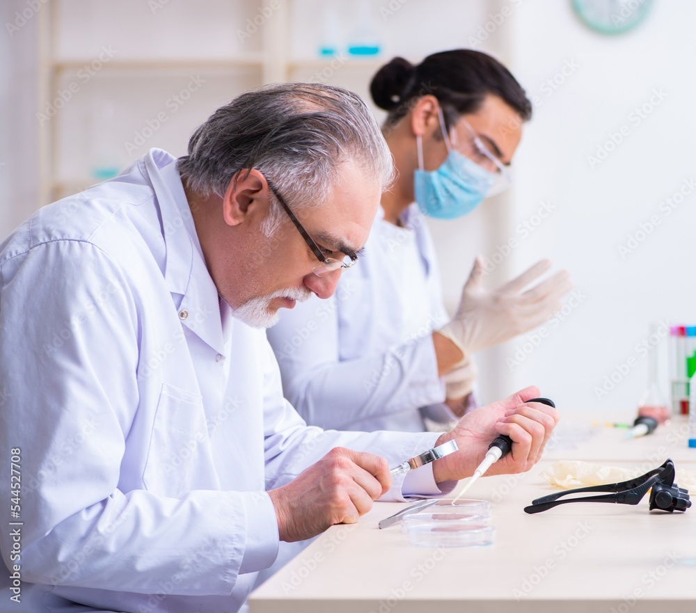 Two chemists working in the lab Two chemists working in the lab