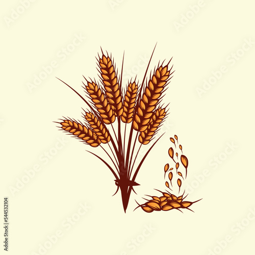 Hand drawn yellow golden colored of wheat ears cereals barley illustration in vintage and retro style on white background