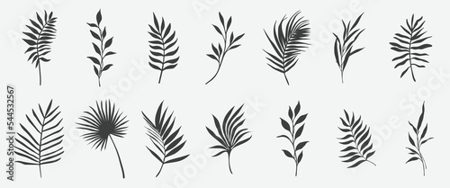 Tropical leaves vector. Set of palm leaves silhouettes isolated on white background.