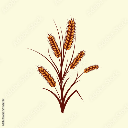 Hand drawn yellow golden colored of wheat ears cereals barley illustration in vintage and retro style on white background