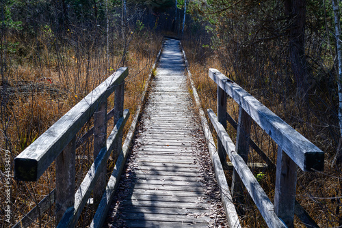 wooden bridge in a wetland near the river inn in reichersberg