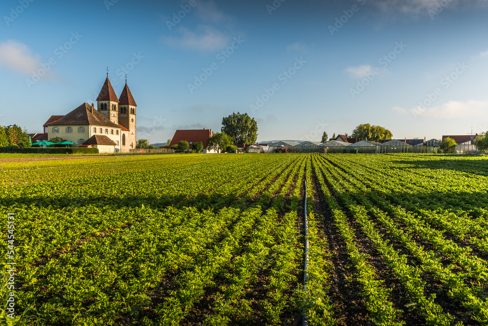 Church of St. Peter and Paul and vegetable field on Reichenau Island, Baden-Wuerttemberg, Germany