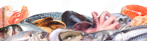 Photography Seafood isolated
