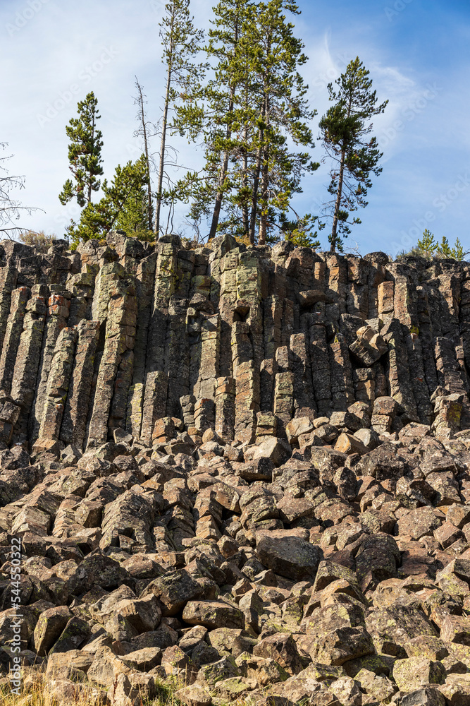 Obraz premium Sheepeater cliff, basalt columns at Yellowstone National Park. Usa.