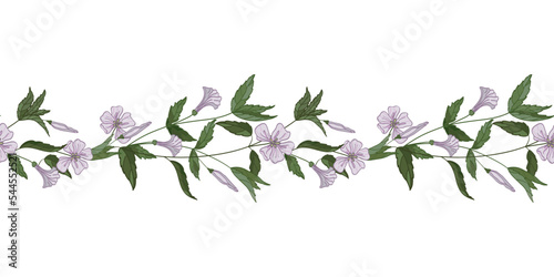 Horizontal border of field and medicinal herbs and flowers. Botanical seamless frame. Drawn by hand.