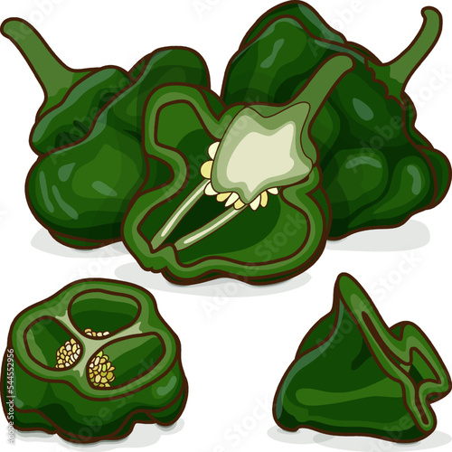Whole, half, and quarter of green scotch bonnet peppers. Capsicum chinense. Hot chili pepper. Fresh organic vegetables. Cartoon style. Vector illustration isolated on white background.