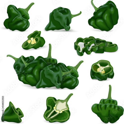 Set with whole, half, quarter, slices, and wedges of green scotch bonnet peppers. Capsicum chinense. Hot chili pepper. Fresh organic vegetables. Vector illustration isolated on white background.