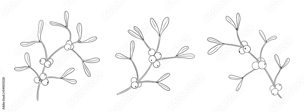 Hand-drawn mistletoe branches with berries