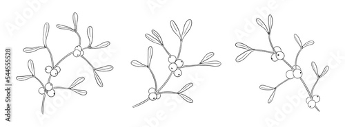 Hand-drawn mistletoe branches with berries