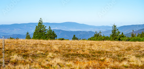 View of Kralicky Sneznik Mountain on horizon. Cold and sunny autumn day in Hruby Jesenik Mountains, Czech Republic photo